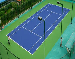 synthetic court