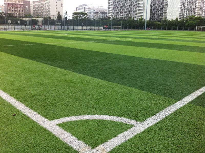 Guangdong University of Shenzhen Football Stadium (2011 Universiade venue)